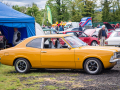 Bridge-of-Allan-_134_4860