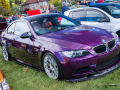 Bridge-of-Allan-_81_4807