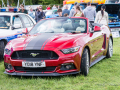 Bridge-of-Allan-_87_4813