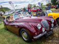 Bridge-of-Allan-_91_4817