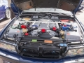 gaydon15_21_0229