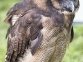 glamis15_59