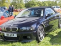 Thirlestane_61_8673